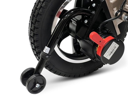 MAJESTIC IQ-9000 Auto Recline Remote Controlled Electric Wheelchair